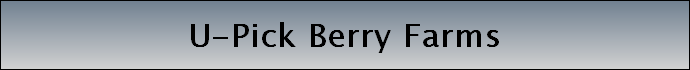U-Pick Berry Farms